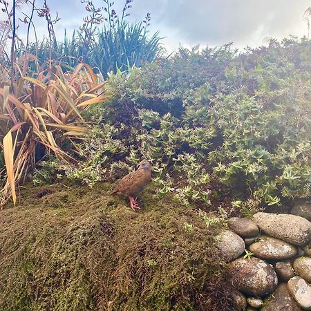 Wild Weka Eco Stay - Off-Grid 4Wd Recommended Waimarie Kültér fotó